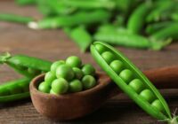 Khasiat Kacang Polong Untuk Kesehatan