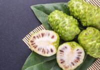 Manfaat Buah Mengkudu